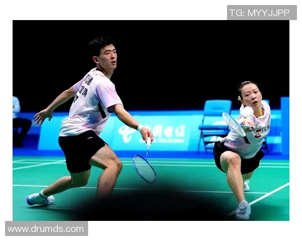 杭州羽毛球队在精英赛中的拼搏历程与荣耀时刻回顾