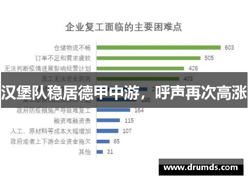 汉堡队稳居德甲中游，呼声再次高涨