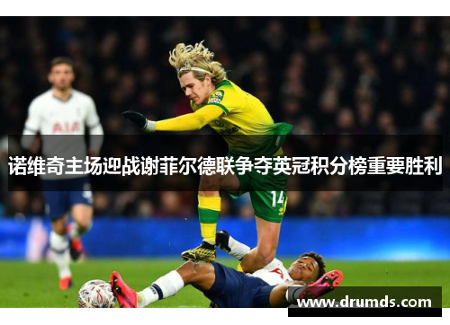 诺维奇主场迎战谢菲尔德联争夺英冠积分榜重要胜利