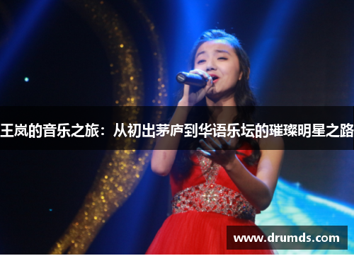 王岚的音乐之旅：从初出茅庐到华语乐坛的璀璨明星之路